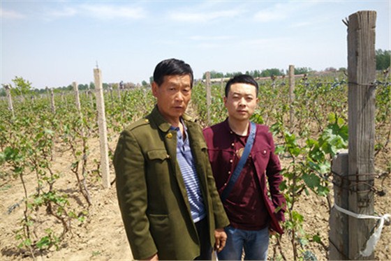 IMG_20150422_130355_副本_副本