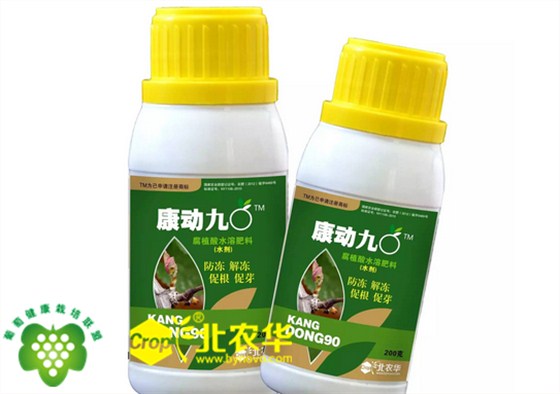 西安北农华葡萄防冻康动90