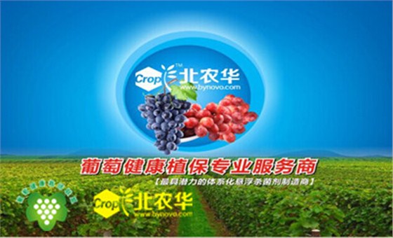 西安北农华