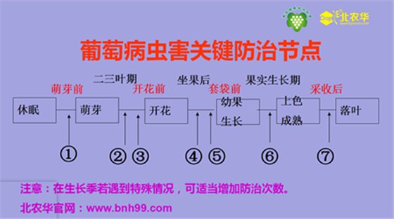 西安北农华 西安北农华