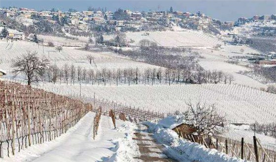 246927662@chatroom_1489643678875_67 246927662@chatroom_1489643678875_67