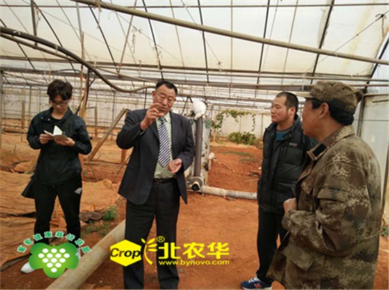 图片1_副本 图片1_副本