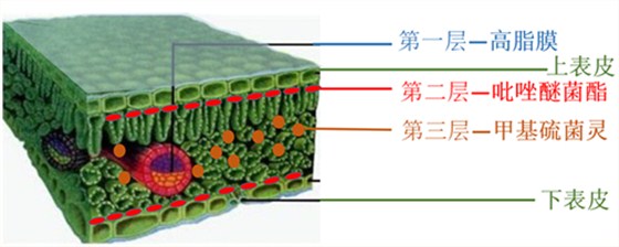 北农华云保泰