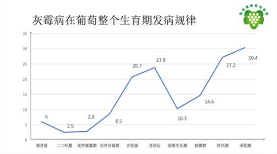 北农华