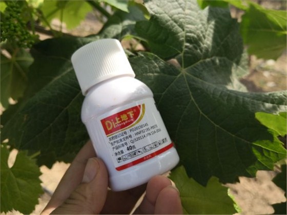 www.bnh99.com