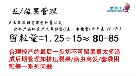 www.bnh99.com