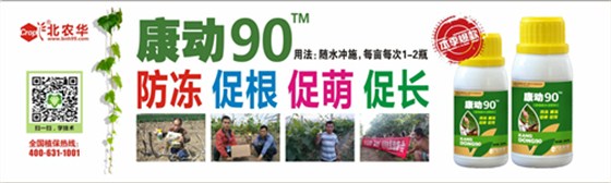 微www.bnh99.com