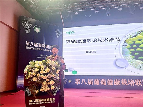 崔海燕 崔海燕