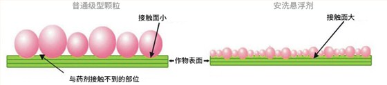 普通级型颗粒VS安洗悬浮剂