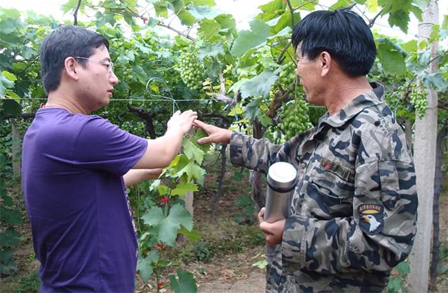 杨军平老师在陕西精品户太园指导