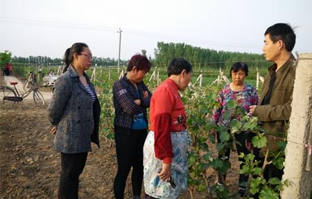 西安北农华 西安北农华