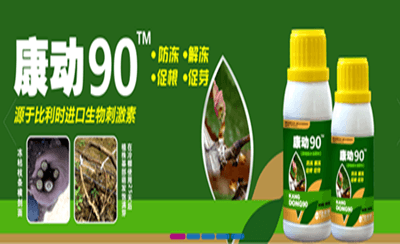 174475390770488409_副本_副本
