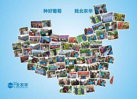 西安北农华 西安北农华