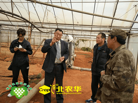 图片1_副本 图片1_副本