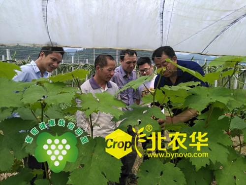 微信图片_20170330143203_副本_副本