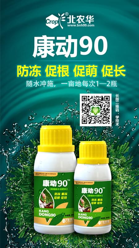 北农华康动90 北农华康动90