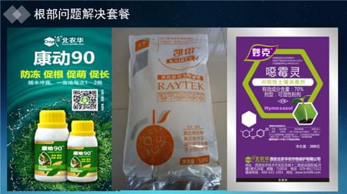 北农华根部套餐