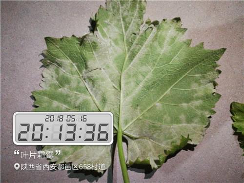 北农华