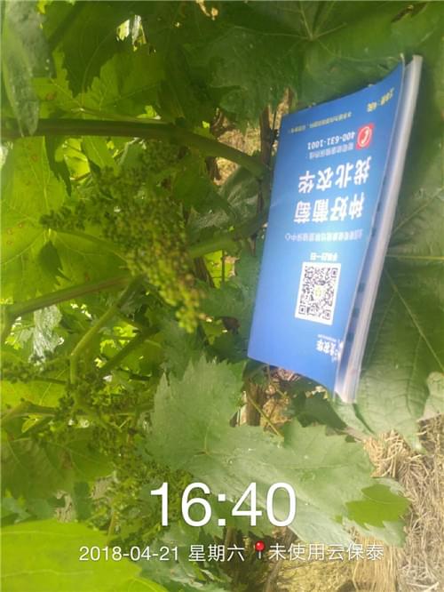 北农华
