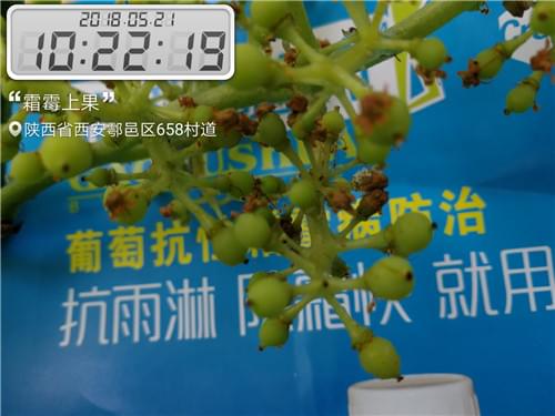 北农华