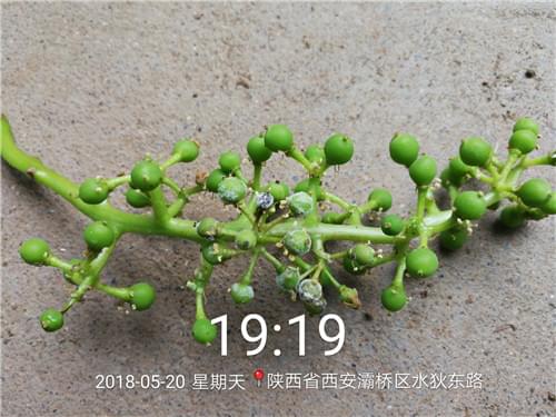 北农华