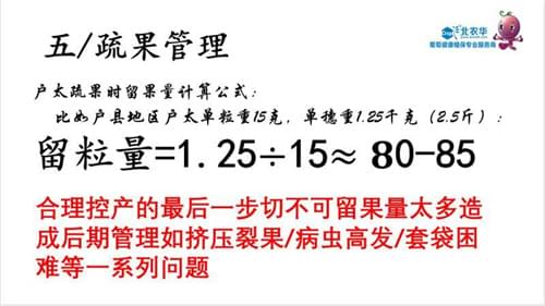 www.bnh99.com