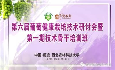 第六届葡萄健康栽培技术研讨会将以全新模式召开