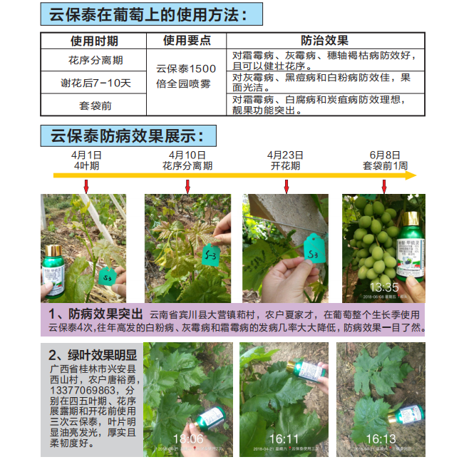 云保泰2