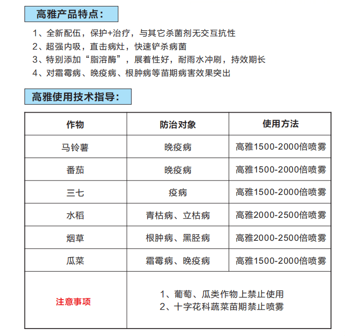 高雅
