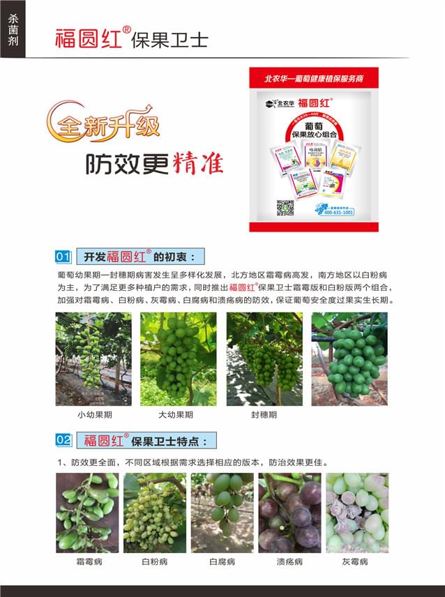 福圆红