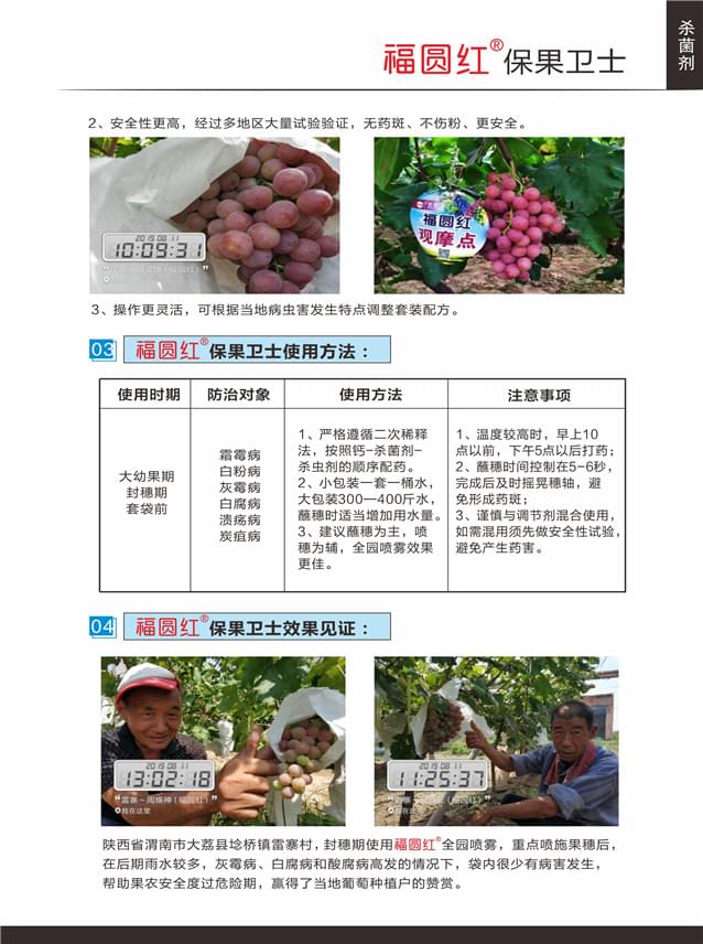福圆红