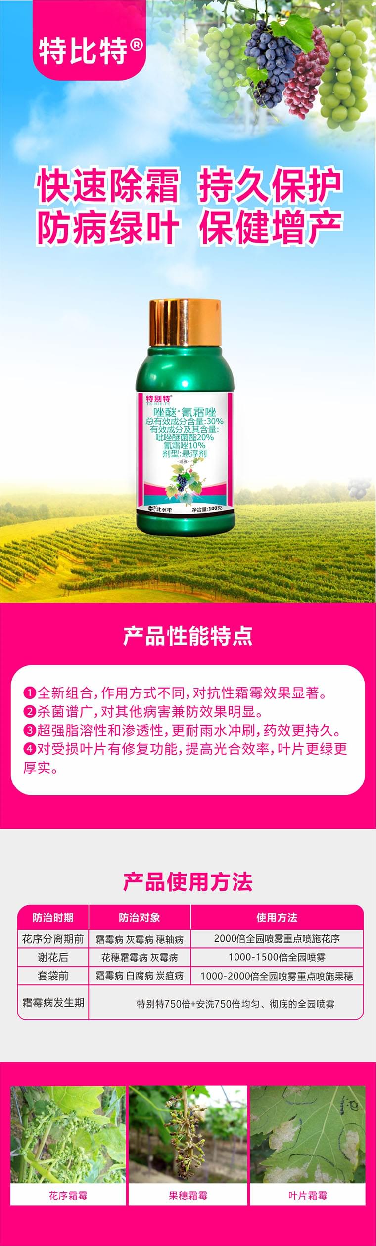 特别特-详情页